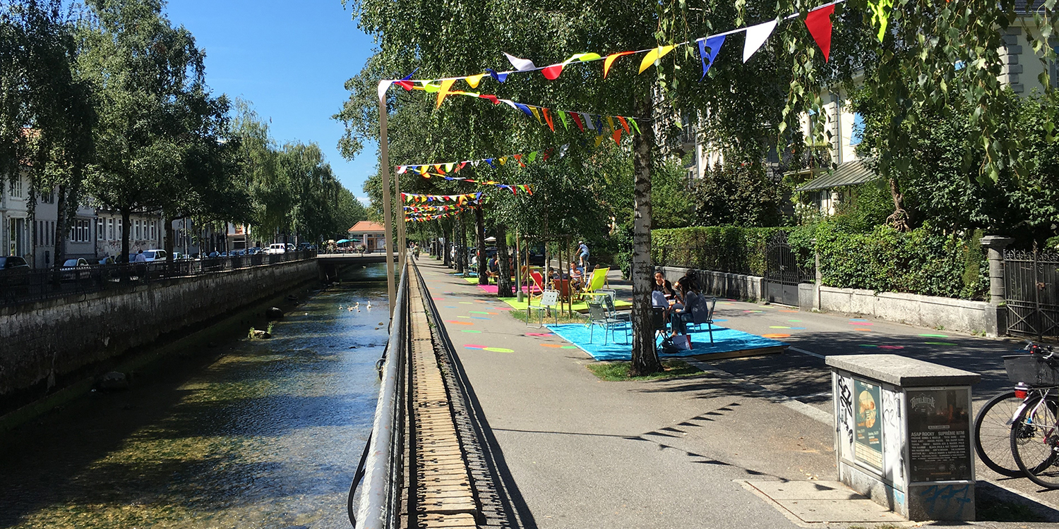 «Planting trees will not stop climate change» BFH