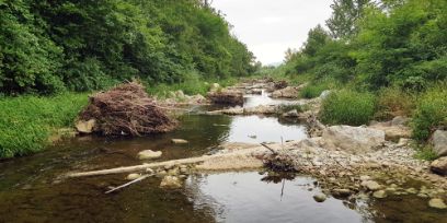 Strukturierungsmassnahmen in Wasserbauprojekten
