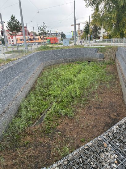 Système d’évacuation et de traitement des eaux de chaussée (SABA): un filtre à sable planté de roseaux retient les matières solides et réduit la concentration en polluants avant leur infiltration dans le sous-sol.