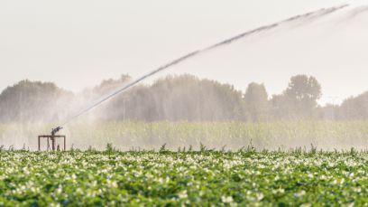 Irrigation de précision grâce à une technique de mesure intelligente.