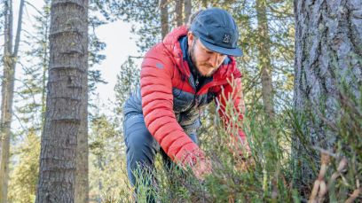 Michael Grüter examine le sol en dessous d’un arbre-dortoir du grand tétras.
