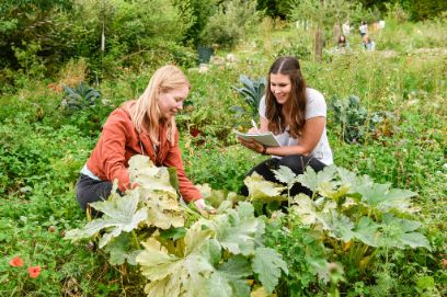 Au service de la recherche comme de l’enseignement: les jardins de permaculture sur le campus de la BFH-HAFL sont aussi un champ d’exercice pour les étudiant-e-s.