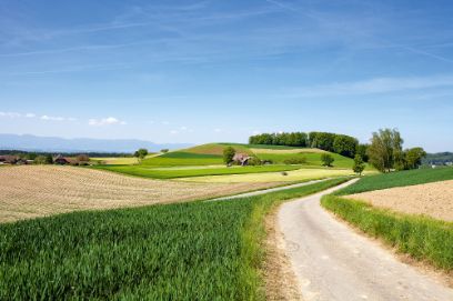 Schweizer Agrarlandschaft