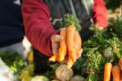Marktstand, Karotten