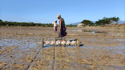 farmers in myanmar