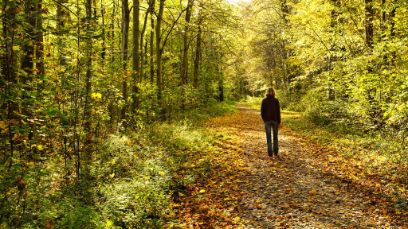Une femme se promène dans la forêt