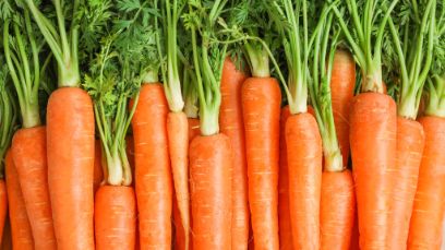 So orange und frisch sollten Rüebli bleiben – vom Feld bis zum Teller. 