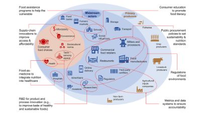Komplexes Ernährungssystem: Acht Handlungsfelder definieren Yi Yang et al. in einer Studie in Science. 