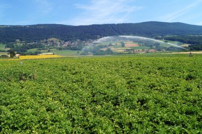 La gestion de l’irrigation s’en trouve améliorée. (Photo : BFH-HAFL)