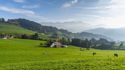 L’agriculture en mutation : les exploitations développent des solutions pour la protection du climat et l’adaptation.