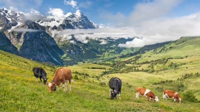 Schweizer Agrarpolitik Forum 2023