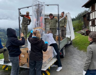 Ein offener Anhänger von hinten fotografiert. Das Kulturgut ist eingehüllt aufgeladen und mehrere Menschen sind mit der Befestigung beschäftigt. Aufnahme in den Bergen, bei kühlem Wetter mit bewölktem Himmel.