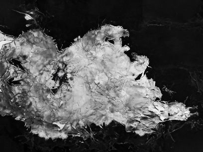 Schwarzweissfotografie eines Gebildes aus papierähnlichem Material mit ausgefransten Rändern.
