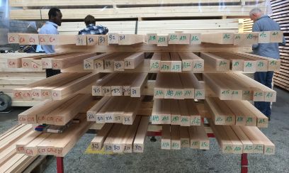 Hochleistung mit Schweizer Buche