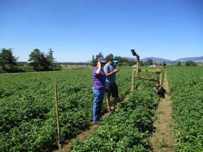 Efficience Irrigation Vaud 