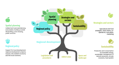Thematic areas of regional development
