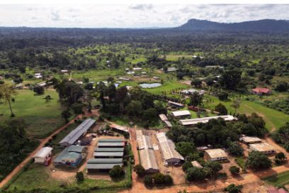 An aerial shot of the farm, taken by Rhianna with her drone.