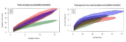 Plus d’espèces recensées en moins de temps : résultats des capteurs bioacoustiques (à gauche) et des pièges photographiques (à droite).