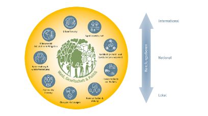 Forest Society Policy BFH-HAFL