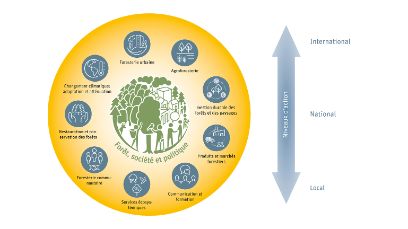 Forest Society Policy BFH-HAFL