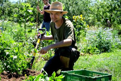 Dario Principi au travail dans le jardin communautaire de Meikirch. Photo: BFH-HAFL