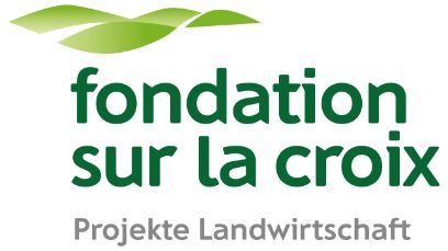 Logo Fondation sur la Croix
