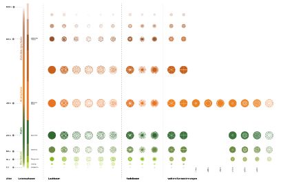 Untersucht wurden verschiedene Möglichkeiten, wie Altersphasen von Bäumen in Karten aussagekräftiger dargestellt werden können. 