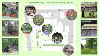 Campus4Biodiversity