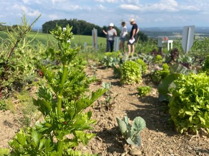 BCLx372 – Gesunde und nachhaltige Ernährung