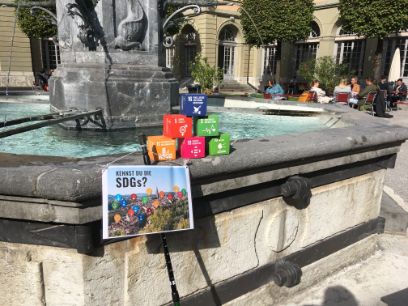 BID1013 SDG-Walk