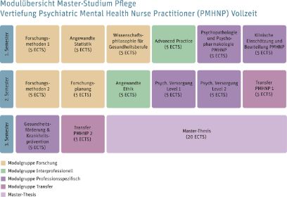 Master-Studium Pflege - Modulübersicht Vertiefung Psychiatric Mental Health Nurse Practitioner (PMHNP) - Vollzeit