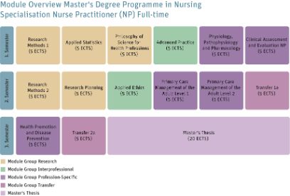 Master-Studium Pflege - Modulübersicht Vertiefung Pflegeexpertise APN mit Fokus Nurse Practitioner (NP) - Vollzeit