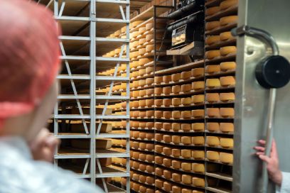 Stage préliminaire en Food Science & Management