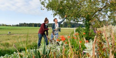 Vorstudienpraktikum Master-Studium Agrarwissenschaften