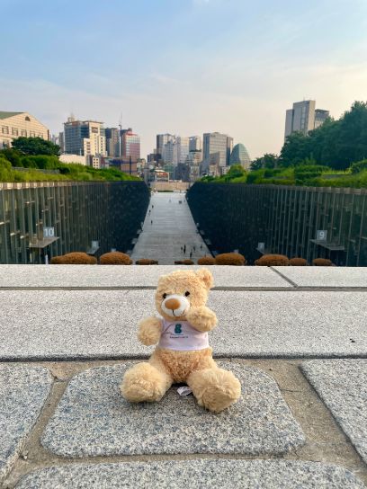 Globe in front of a map