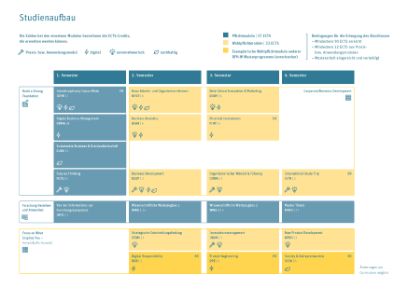 Aufbau Studium MSc Business Administration
