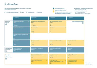 Aufbau Studium MSc Business Administration