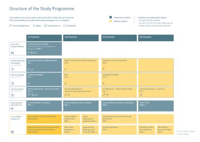 Curriculum MSc Digital Business Administration