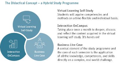 Study model: MSc in Digital Business Administration