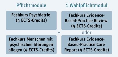Struktur CAS Psychiatrische Pflege