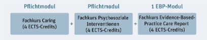 Struktur CAS Psychosoziales Caring