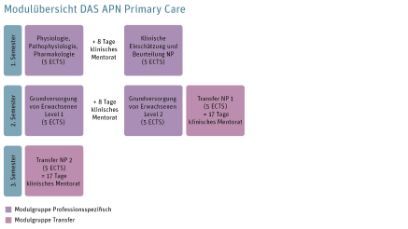 Grafik der Modulübersicht des DAS APN Primary Care