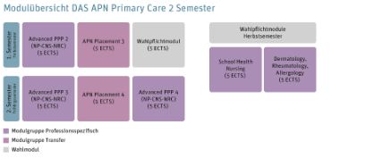 Grafik der Modulübersicht des DAS APN Primary Care 2 Semester