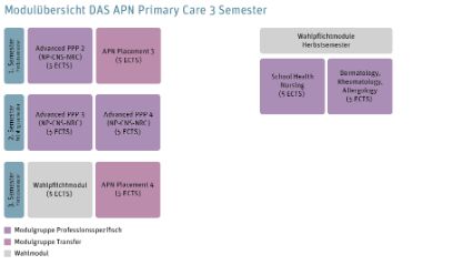 Grafik der Modulübersicht des DAS APN Primary Care 3 Semester