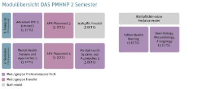 Modulübersicht DAS PMHNP 2 Semester