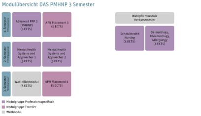 Modulübersicht DAS PMHNP 3 Semester