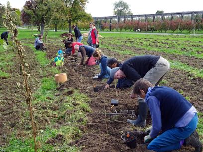 Permakultur Online-Beratung
