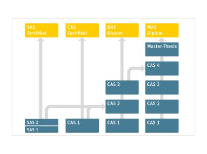 Grafik Studienablauf