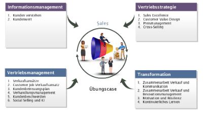 Framework für das CAS Sales