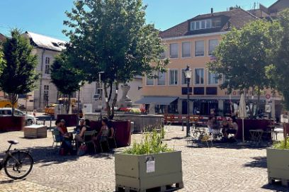 Mobile Bäume in Solothurn